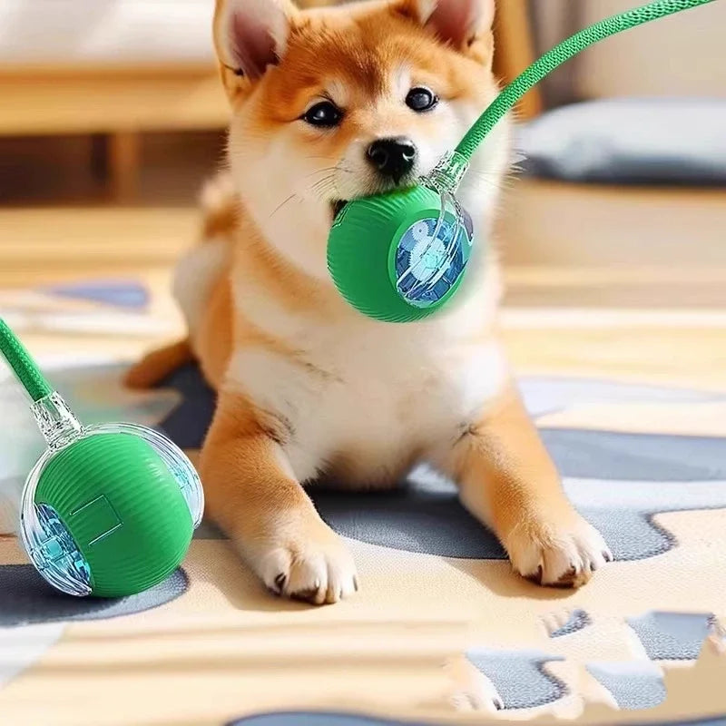 Smart Interactive Pet Ball – Self-Playing Electronic Toy for Dogs & Cats
