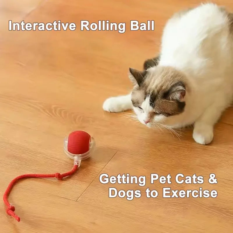 Smart Interactive Pet Ball – Self-Playing Electronic Toy for Dogs & Cats