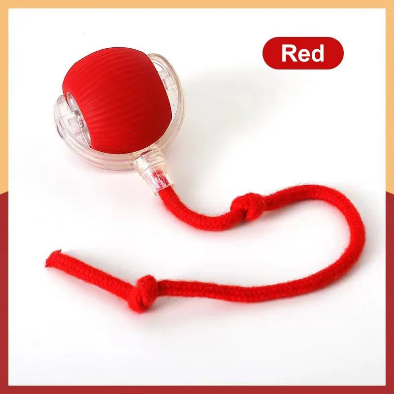 Smart Interactive Pet Ball – Self-Playing Electronic Toy for Dogs & Cats